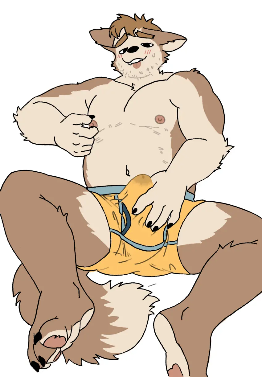 Image blush,clothing,hi_res,nipples,simple_background,solo,male,penis,tail,erection,male/male,anthro,bodily_fluids,fur,genitals,mammal,reichik
