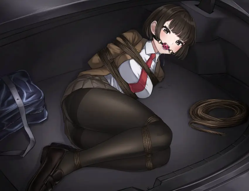 Image 1girls,female,female_focus,helpless,bondage,angry,tied_up,pantyhose,ball_gag,gag,arms_behind_back,struggling,office_lady,arms_bound,glaring,kidnapped,ankles_tied,thighs_together,car_trunk,legs_bound