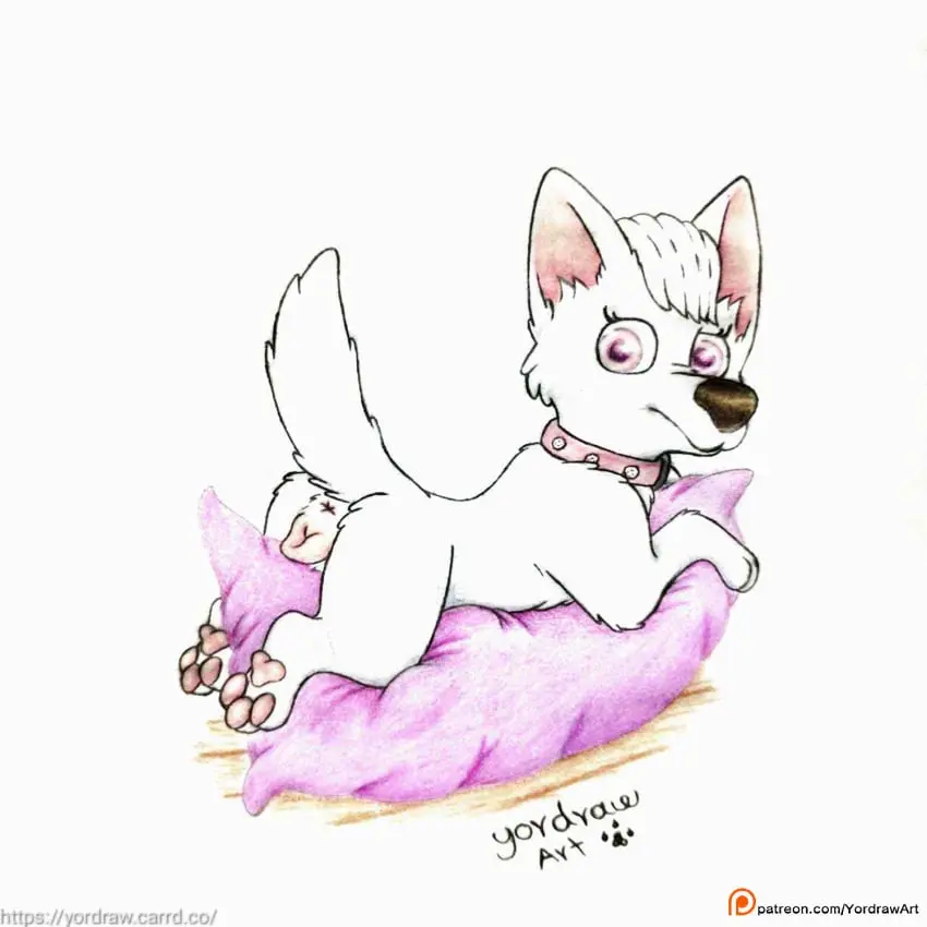 Image female,hi_res,solo,pussy,anus,collar,canid,canine,canis,domestic_dog,genitals,mammal,paws,pillow,animal_genitalia,canine_genitalia,feral,animal_pussy,pawpads,canine_pussy,yordraw,paw_patrol,sweetie_(paw_patrol)