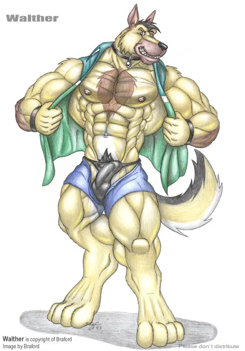 Image clothed,clothing,nipples,simple_background,solo,standing,white_background,black_hair,blue_eyes,male,underwear,muscular,muscular_male,feet,pink_nipples,grinning_at_viewer,balls,hair,anthro,tan_body,bulge,penis_outline,collar,canid,canine,canis,domestic_dog,fur,mammal,multicolored_body,multicolored_fur,muscular_anthro,black_body,shorts,5_fingers,black_nose,thong,white_body,fingers,genital_outline,big_muscles,brown_fur,toes,topwear,tan_fur,brown_body,white_fur,detailed_bulge,muscles,black_fur,bottomwear,open_clothing,digitigrade,4_toes,traditional_media_(artwork),vest,herding_dog,pastoral_dog,balls_outline,open_topwear,open_vest,german_shepherd,wristband,huge_muscles,open_shorts,braford,walther_(braford)