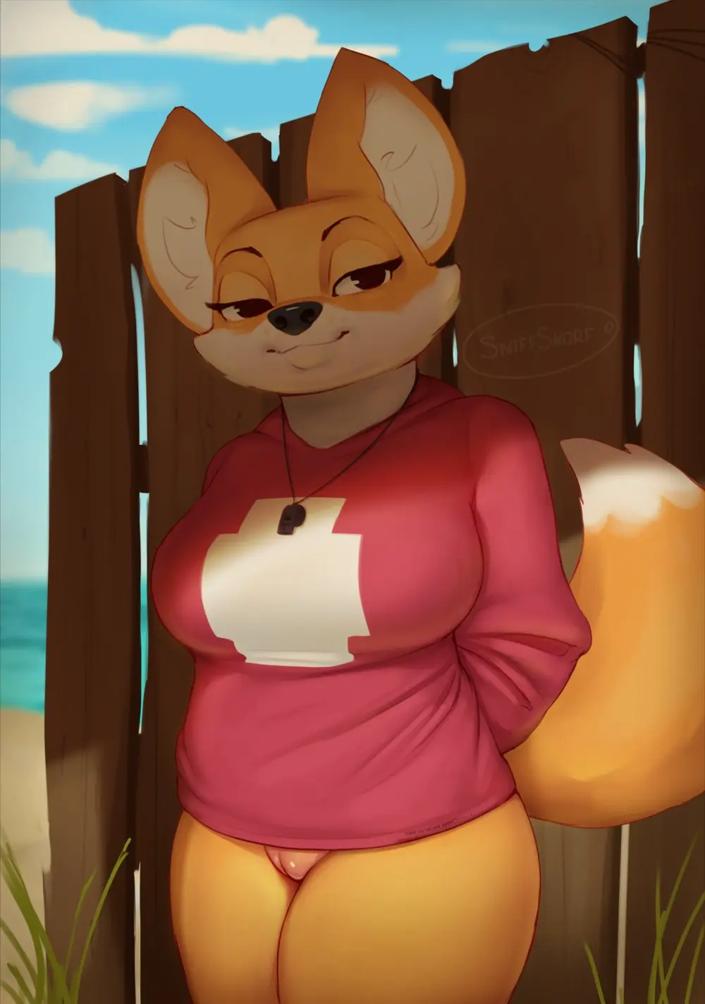 Image breasts,clothed,clothing,female,hi_res,looking_at_viewer,solo,pussy,tail,anthro,canid,canine,fur,genitals,mammal,bottomless,orange_body,biped,fox,orange_fur,lucy_(sniffsnorf),sniffsnorf