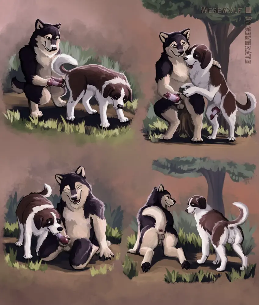 Image hi_res,open_mouth,smile,cum,male,nude,penis,tail,tongue,duo,erection,male/male,digital_media_(artwork),digital_painting_(artwork),balls,anthro,anus,absurd_res,genital_fluids,bodily_fluids,canid,canine,canis,domestic_dog,fur,genitals,mammal,outside,tree,animal_genitalia,animal_penis,canine_genitalia,canine_penis,knot,nature,nature_background,plant,detailed_background,feral,zoophilia,anthro_on_feral,grass,spitz,outside_sex,molosser,mountain_dog,saint_bernard,werewolfdegenerate,finnish_lapphund,lapphund,speedpaint,speedpainting
