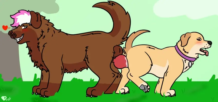Image blush,female,hi_res,open_mouth,simple_background,smile,white_hair,cum,male,penis,tongue_out,tongue,duo,hair,male/female,size_difference,pink_hair,cum_in_pussy,cum_inside,green_eyes,absurd_res,ejaculation,looking_pleasured,penetration,genital_fluids,collar,bird_dog,bodily_fluids,canid,canine,canis,domestic_dog,fur,genitals,hunting_dog,labrador,mammal,retriever,yellow_body,erect_penis,female_penetrated,tree,smirk,brown_fur,animal_genitalia,animal_penis,canine_genitalia,canine_penis,knot,plant,brown_body,feral,heart_symbol,feral_on_feral,floppy_ears,grass,raised_leg,feral_penetrated,purple_collar,dustin_(thediamonddustt),lola_(pixie_and_brutus),pixie_and_brutus,thediamonddustt