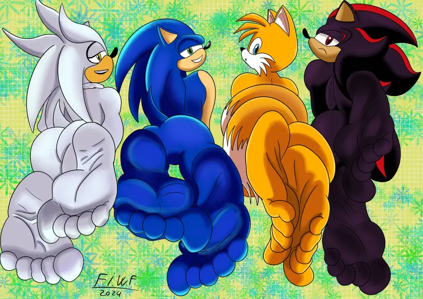 Image male,feet,smiling,smiling_at_viewer,male_only,digital_media_(artwork),shaded,foot_fetish,yellow_fur,sonic_(series),sonic_the_hedgehog,sonic_the_hedgehog_(series),back_view,blue_fur,white_fur,group,foot_focus,black_fur,wrinkled_feet,5_toes,tails_the_fox,shadow_the_hedgehog,silver_the_hedgehog,fromitalywithfurore