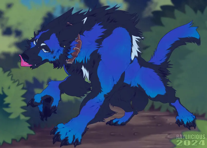 Image looking_at_viewer,solo,blue_eyes,licking,male,tail,furry,tongue,artist_name,teeth,balls,piercing,big_balls,collar,canid,fur,genitals,grey_body,grey_fur,mammal,fangs,ear_piercing,licking_lips,narrowed_eyes,2024,blue_body,outside,dated,blue_fur,plant,tuft,feral,quadruped,leg_tuft,ears_back,pivoted_ears,mouth_closed,neck_tuft,tongue_piercing,blue_tail,facial_tuft,shrub,cheek_tuft,ear_stud,licking_own_lips,grey_tail,brown_collar,tongue_stud,back_tuft,rayliicious,fully_submerged