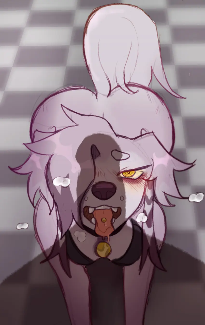 Image blush,breasts,clothed,clothing,female,hi_res,looking_at_viewer,open_mouth,simple_background,male,nude,penis,tail,tongue,duo,digital_media_(artwork),solo_focus,hair,male/female,anthro,piercing,collar,bodily_fluids,canid,canine,canis,domestic_dog,fur,genitals,grey_body,grey_fur,hunting_dog,mammal,tile_floor,begging,topwear,sighthound,floor,tile,saluki,candle_the_saluki,esprit-arait