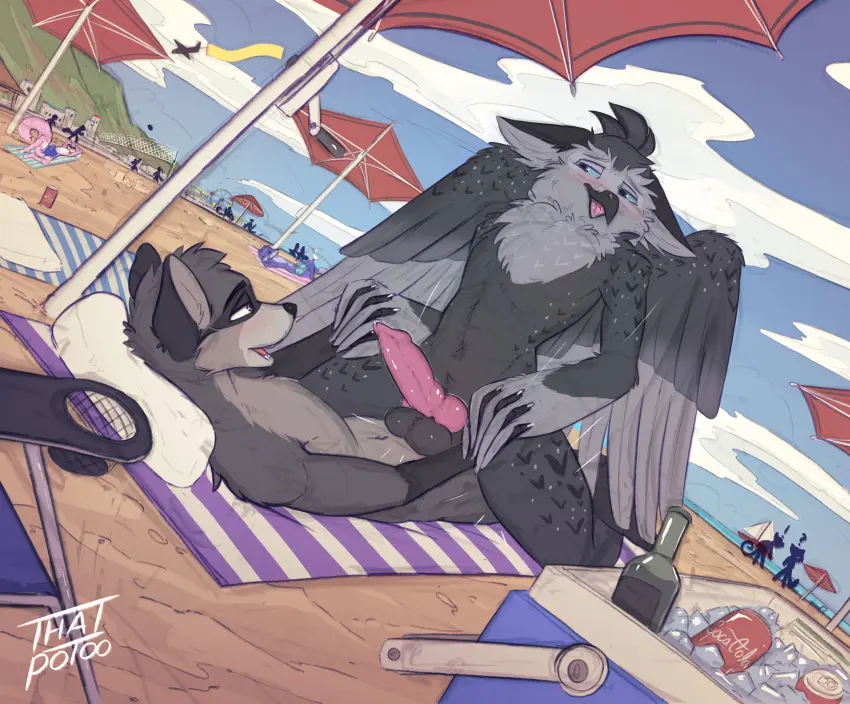 Image blush,female,hi_res,blue_eyes,hand_holding,male,penis,sex,duo,erection,beach,sky,anal,anal_sex,cowgirl_position,male/male,balls,feathered_wings,feathers,wings,anthro,penetration,genital_fluids,public,bodily_fluids,genitals,mammal,precum,sand,male_penetrating,outside,towel,raccoon,penis_in_ass,from_front_position,avian,beak,bird,owl,penile,knot,day,male_penetrated,male_penetrating_male,penile_penetration,anthro_penetrated,anthro_on_anthro,procyonid,anthro_penetrating,anthro_penetrating_anthro,on_bottom,on_top,public_sex,beach_towel,beach_umbrella,thatpotoo,parasol,cooler
