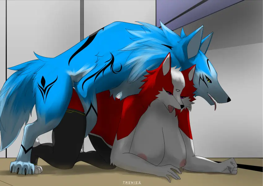 Image clothing,female,hi_res,male,yellow_eyes,sex,duo,anthro,pink_eyes,absurd_res,socks,canid,canine,canis,domestic_dog,footwear,fur,genitals,mammal,wolf,legwear,breath,animal_genitalia,markings,feral,red_body,zoophilia,panting,pattern_clothing,red_fur,border_collie,collie,herding_dog,pastoral_dog,sheepdog,pattern_legwear,scarlett_valita,treniea