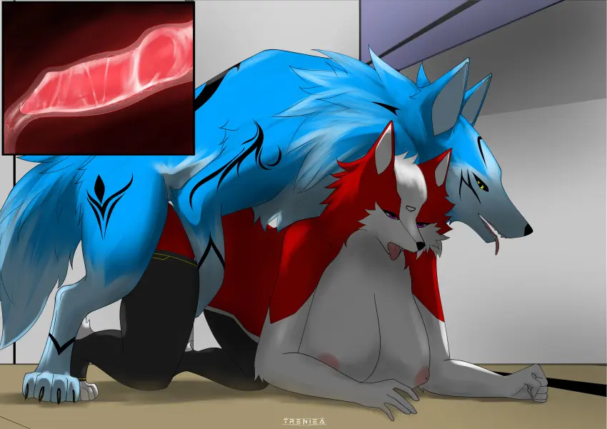 Image clothing,female,hi_res,male,yellow_eyes,sex,duo,anthro,pink_eyes,xray_view,absurd_res,socks,canid,canine,canis,domestic_dog,footwear,genitals,mammal,wolf,legwear,breath,animal_genitalia,feral,zoophilia,panting,pattern_clothing,border_collie,collie,herding_dog,pastoral_dog,sheepdog,knotting,pattern_legwear,scarlett_valita,treniea