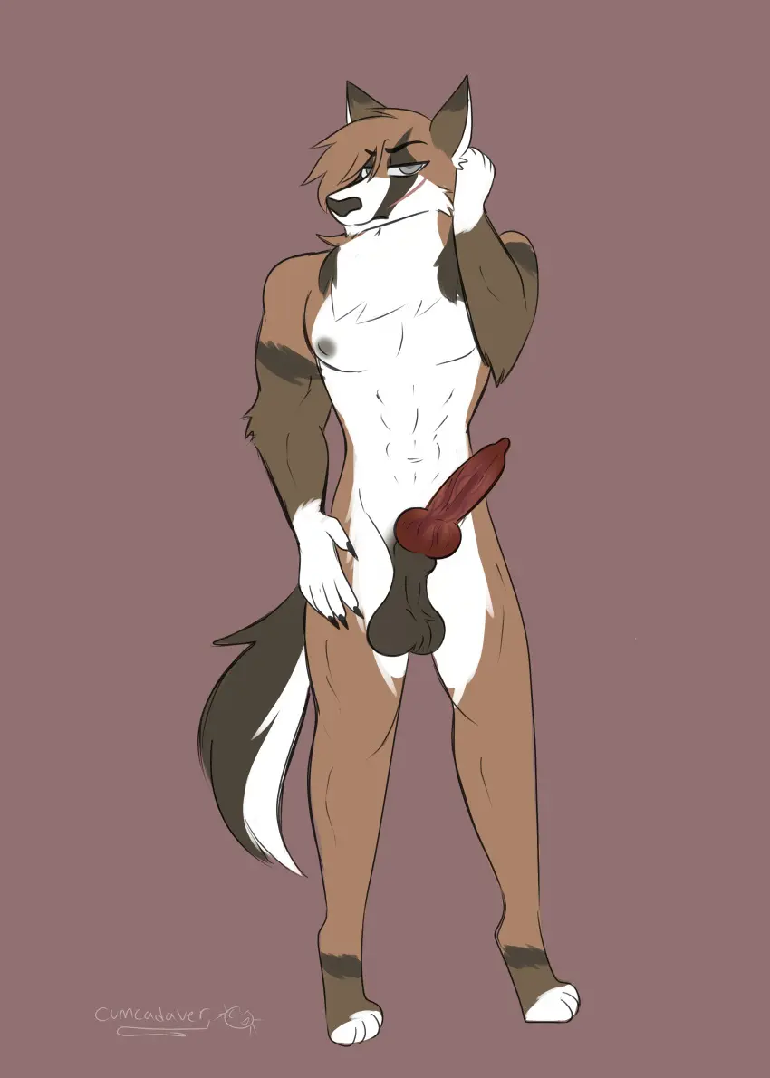 Image hi_res,solo,male,penis,muscular,muscular_male,male_only,balls,anthro,absurd_res,canid,genitals,mammal,abs,scar,animal_genitalia,animal_penis,canine_genitalia,canine_penis,knot,sheath,tuft,facial_hair,saggy_balls,cumcadaver,balls_tuft