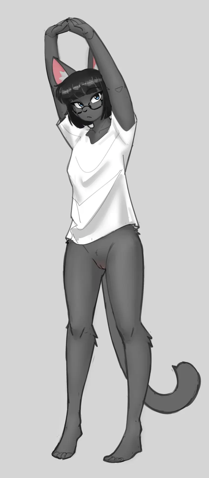 Image clothed,clothing,female,hi_res,shirt,simple_background,solo,standing,bangs,black_hair,blue_eyes,pussy,arms_above_head,hair,anthro,absurd_res,fur,genitals,grey_body,grey_fur,mammal,bottomless,feline,front_view,topwear,felid,t-shirt,domestic_cat,felis,stretching,shirt_only,topwear_only,veebutspicy,427deer