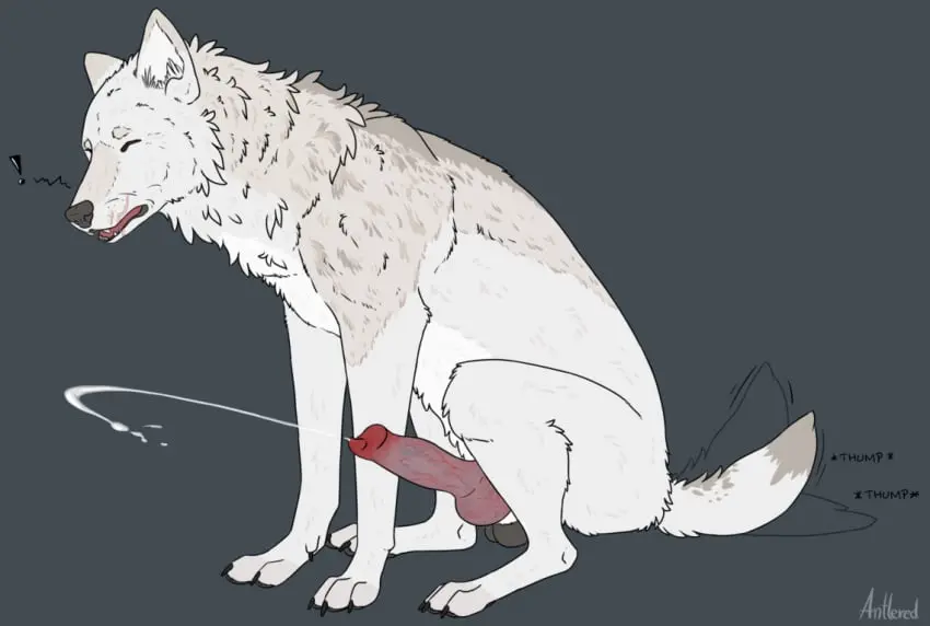 Image simple_background,solo,cum,male,penis,tail,male_only,balls,veiny_penis,closed_eyes,ejaculation,genital_fluids,orgasm,bodily_fluids,canid,canine,canis,genitals,mammal,wolf,cumshot,male_focus,vein,animal_genitalia,animal_penis,canine_genitalia,canine_penis,knot,feral,tail_motion,tailwag,antlered