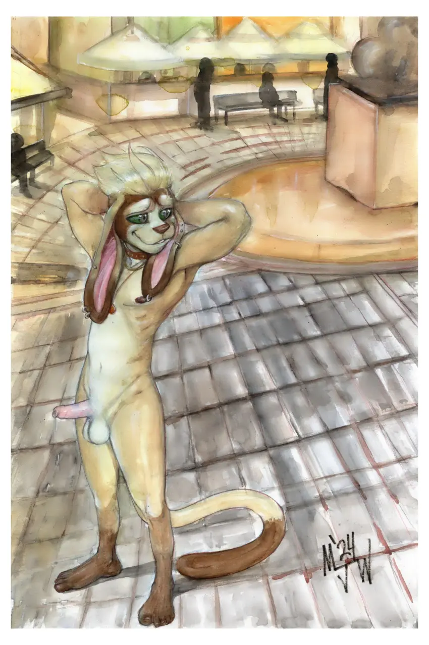 Image 1boy,male,nude,penis,furry,erection,male_only,balls,anthro,tagme,public,jmichayah