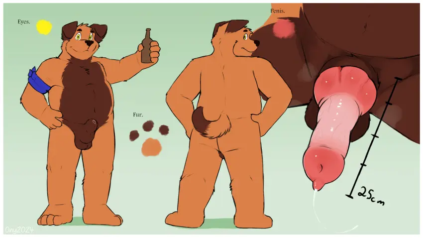 Image hi_res,solo,male,nude,penis,male_only,anthro,pose,pinup,presenting,canid,genitals,mammal,animal_genitalia,animal_penis,canine_genitalia,canine_penis,knot,sheath,beer,beverage,model_sheet,comparing,alcohol,onykr,tom_(onykr)