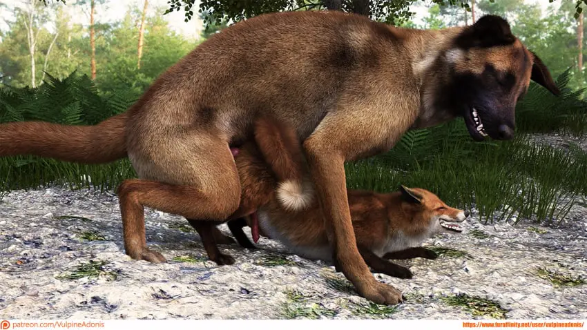 Image male,penis,sex,duo,anal,male/male,size_difference,text,penetration,canid,canine,canis,domestic_dog,genitals,mammal,male_penetrating,smaller_male,animal_genitalia,animal_penis,canine_genitalia,canine_penis,fox,feral,larger_male,male_penetrated,male_penetrating_male,url,feral_on_feral,feral_penetrating,true_fox,16:9,herding_dog,pastoral_dog,sheepdog,widescreen,feral_penetrated,feral_penetrating_feral,malinois_dog,vulpineadonis