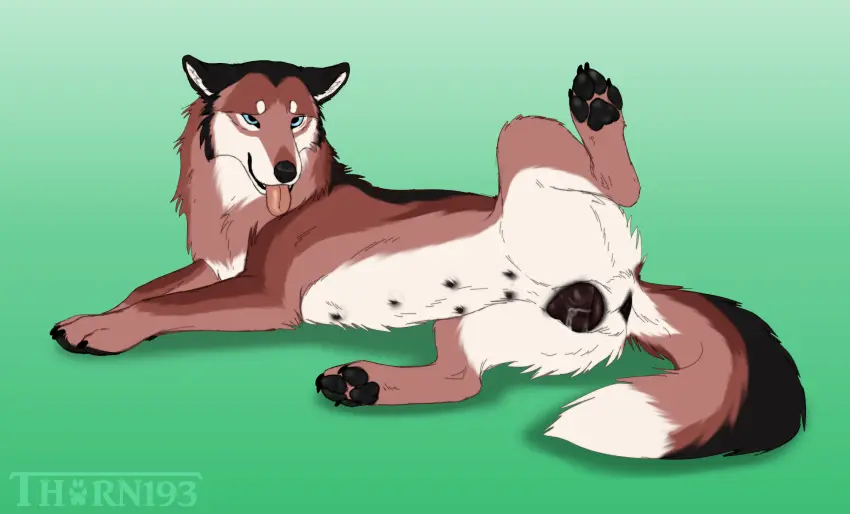Image female,hi_res,nipples,solo,pussy,lying,anus,on_side,presenting,canid,canine,canis,genitals,mammal,wolf,2024,animal_genitalia,canine_genitalia,feral,presenting_pussy,animal_pussy,canine_pussy,multi_nipple,thorn193,brielle_(wolffylegend)