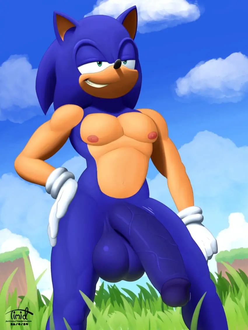 Image clothing,hi_res,nipples,smile,solo,gloves,male,nude,penis,big_penis,humanoid_penis,sky,male_only,digital_media_(artwork),teeth,balls,anthro,veiny_penis,cloud,big_balls,fur,genitals,mammal,pecs,blue_body,outside,sega,sonic_(series),sonic_the_hedgehog,sonic_the_hedgehog_(series),male_focus,humanoid_genitalia,blue_fur,vein,plant,handwear,grass,hedgehog,eulipotyphlan,timidwithapen