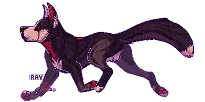 Image looking_at_viewer,red_eyes,simple_background,solo,male,tail,black_tail,digital_media_(artwork),balls,piercing,fur,genitals,grey_body,grey_fur,low_res,black_body,ear_piercing,animal_genitalia,markings,sheath,dipstick_tail,tail_markings,white_balls,white_sheath,feral,walking,black_fur,pawpads,red_pawpads,transparent_background,ear_ring,ring_piercing,mouth_closed,alpha_channel,pixel_(artwork),grey_tail,2:1,red_inner_ear,rayliicious,ray_(rayliicious)