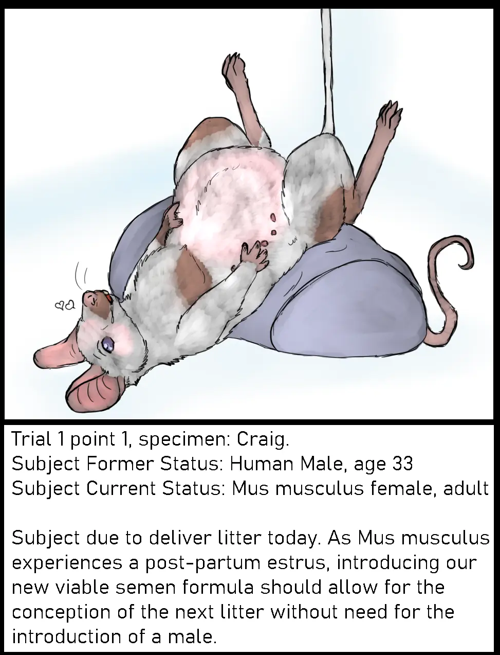Image 1girls,female,hi_res,solo,lying,on_back,pregnant,drooling,saliva,ambiguous_gender,bodily_fluids,mammal,pillow,mouse,murid,1animal,transformation,feral,feral_only,zoophilia,murine,rodent,mtf_transformation,belly_nipples,caption,after_transformation,species_transformation,multi_nipple,welcometaco,science,artificial_insemination,house_mouse