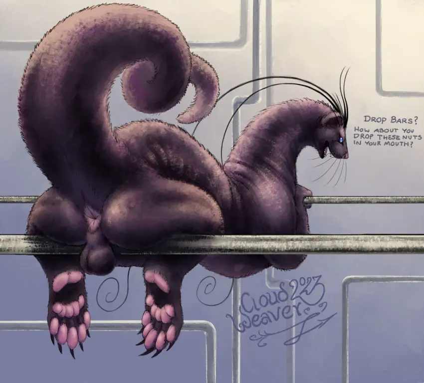 Image 2023,hi_res,looking_at_viewer,solo,blue_eyes,male,tail,ass,male_only,digital_media_(artwork),balls,purple_fur,text,anus,presenting,fur,genitals,mammal,paws,english_text,glistening,glistening_body,purple_body,presenting_hindquarters,solo_male,mustelid,hybrid,feral,feral_only,presenting_anus,pawpads,dark_body,backsack,abstract_background,big_tail,pink_pawpads,antennae_(anatomy),dark_fur,glistening_fur,chesawyiin_(cloudweaver),cloudweaver_(artist),metal_pipe