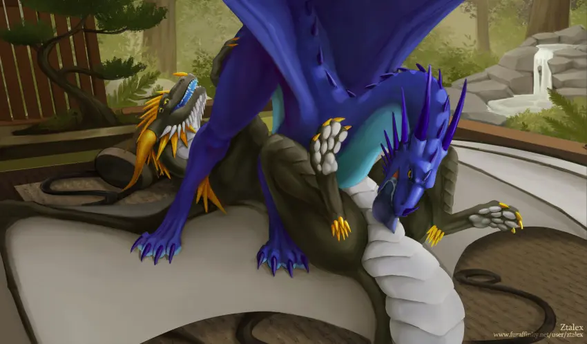 Image hi_res,male,oral,penis,duo,erection,male/male,mythology,penetration,genitals,claws,oral_penetration,scales,scalie,purple_body,animal_genitalia,mythological_creature,dragon,mythological_scalie,feral,genital_slit,purple_penis,purple_claws,purple_scales,ztalex