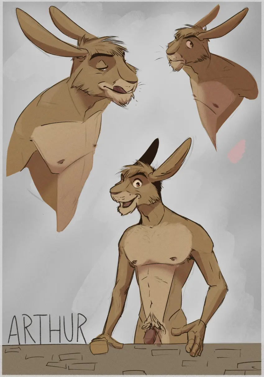 Image hi_res,solo,male,penis,muscular,male_only,genitals,mammal,skinny,non-human,long_ears,lagomorph,leporid,non-human_only,hare,timberdonk