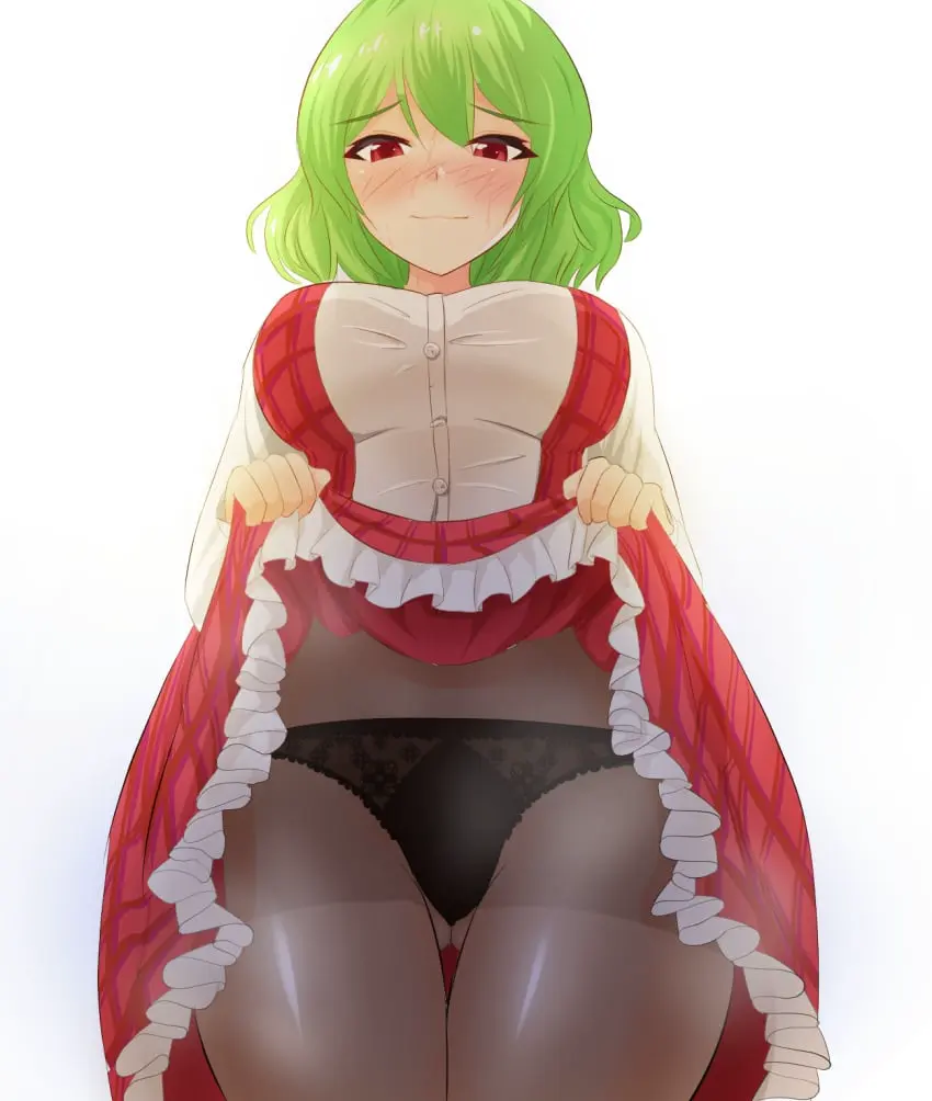 Image 1girls,blush,breasts,female,large_breasts,looking_at_viewer,red_eyes,solo,touhou,short_hair,closed_eyes,black_panties,green_hair,white_shirt,skirt_lift,black_pantyhose,red_skirt,kazami_yuuka,yuka_kazami,yuuka_kazami,red_vest,d_ginac_e,plead_skirt,plead_vest