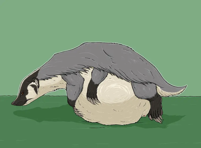 Image brown_eyes,hi_res,solo,male,tail,belly,big_belly,huge_belly,shadow,fur,genitals,grey_body,grey_fur,mammal,snout,claws,white_body,mustelid,animal_genitalia,sheath,white_fur,short_tail,feral,quadruped,male_pred,whiskers,multi_limb,immobile,feral_pred,musteline,badger,fully_sheathed,multi_leg,strega,6_legs,bartleby_(strega),resting_on_belly