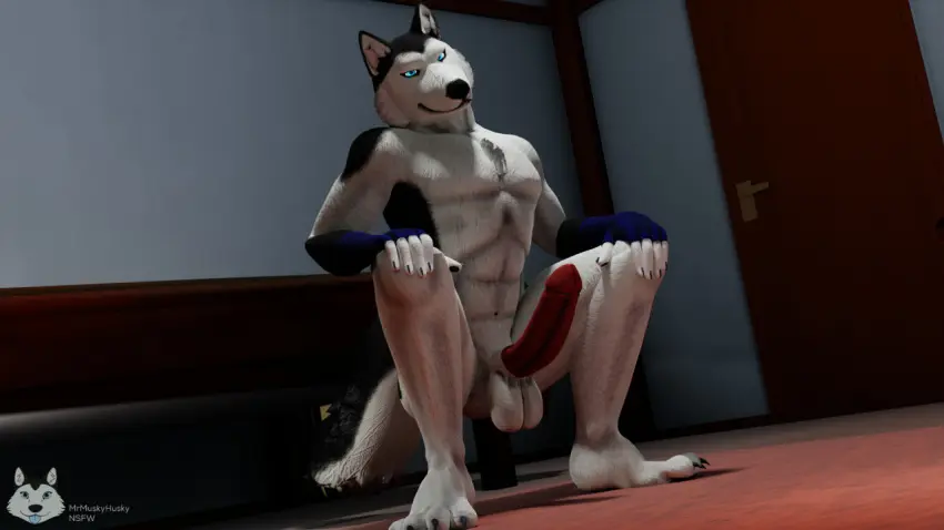 Image male,penis,furry,male_only,anthro,3d,dick,bedroom,fur,male_focus,squats,mrmuskyhusky,mrmuskyhusky_(character)