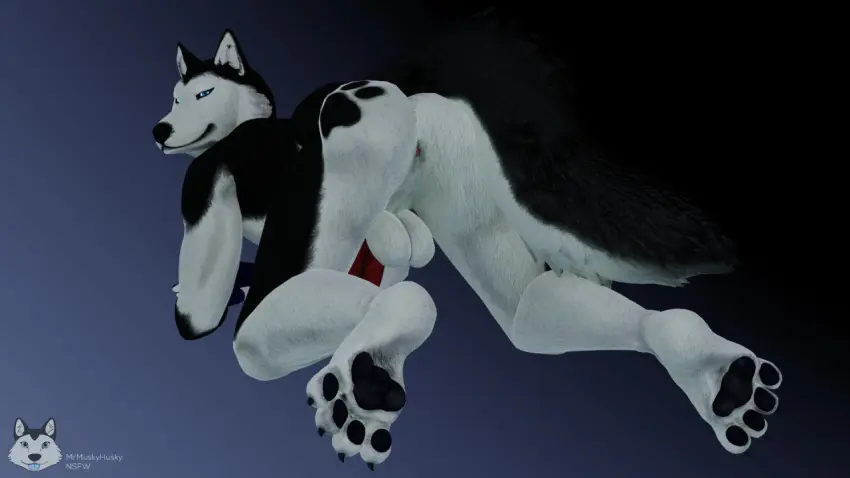 Image male,penis,furry,ass,anthro,3d,dick,fur,husky,mrmuskyhusky,mrmuskyhusky_(character)