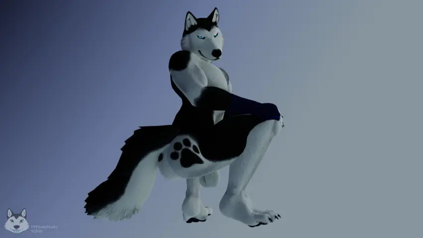 Image male,penis,furry,ass,anthro,3d,dick,fur,furry_only,husky,mrmuskyhusky,mrmuskyhusky_(character)