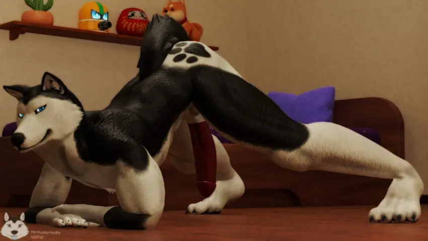 Image male,penis,furry,ass,anthro,pose,3d,blender,dick,fur,furry_only,husky,jackopose,mrmuskyhusky,mrmuskyhusky_(character)