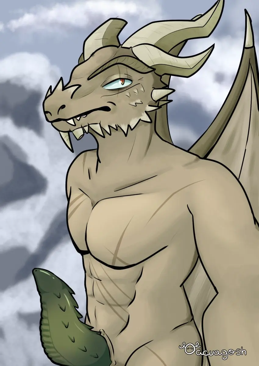 Image hi_res,solo,male,penis,male_only,anthro,mythology,genitals,scalie,male_focus,mythological_creature,dragon,mythological_scalie,bethesda_softworks,microsoft,the_elder_scrolls,skyrim,acuagosh,paarthurnax